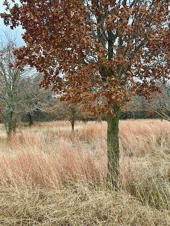 30.5 Acres of Agricultural Land for Sale in Boyd, Texas