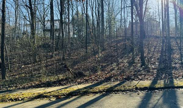 0.63 Acres of Residential Land for Sale in Chattanooga, Tennessee