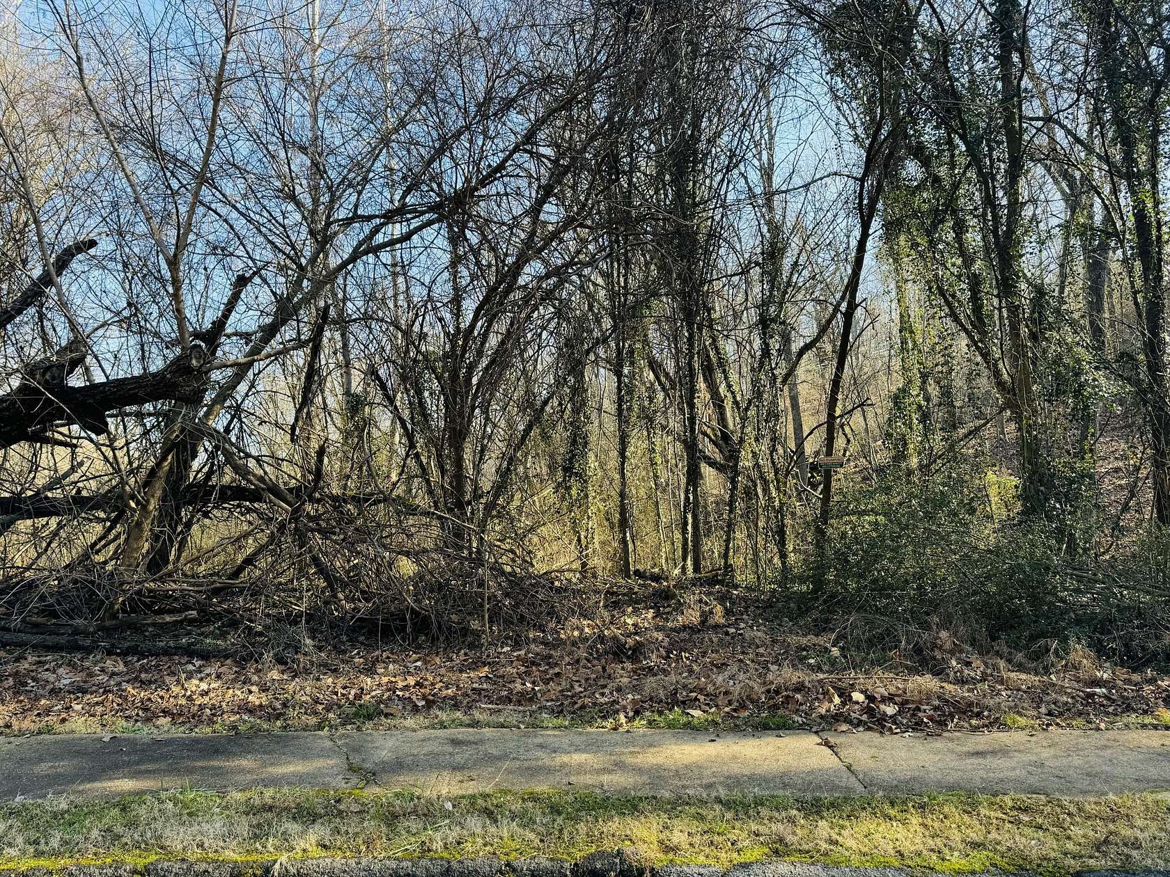 0.76 Acres of Residential Land for Sale in Chattanooga, Tennessee