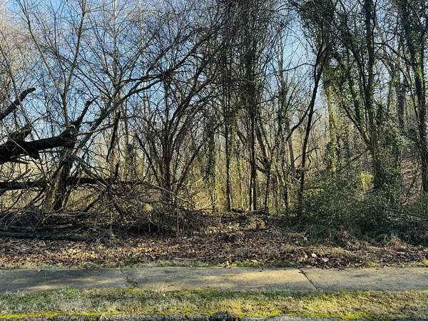 0.76 Acres of Residential Land for Sale in Chattanooga, Tennessee