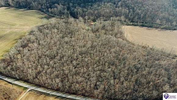 24.9 Acres of Recreational Land & Farm for Sale in Fordsville, Kentucky