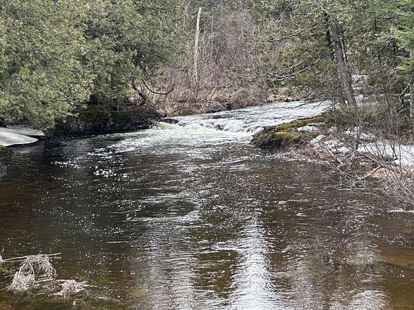 3.5 Acres of Land for Sale in Cary, Maine