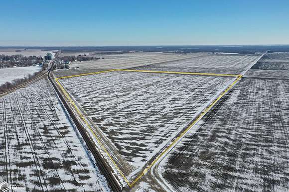 41.58 Acres of Agricultural Land for Auction in Findlay, Illinois