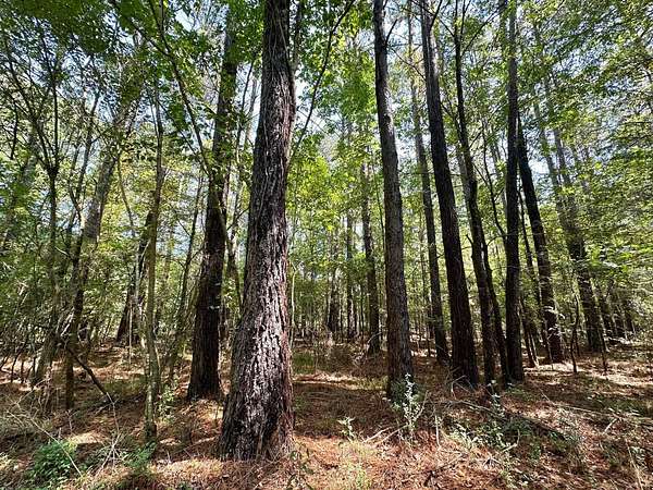 180 Acres of Recreational Land for Sale in Pulaski, Mississippi