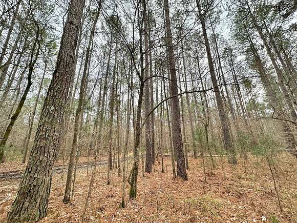 318 Acres of Recreational Land for Sale in Pulaski, Mississippi