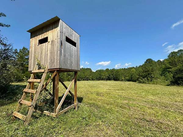 318 Acres of Recreational Land for Sale in Pulaski, Mississippi