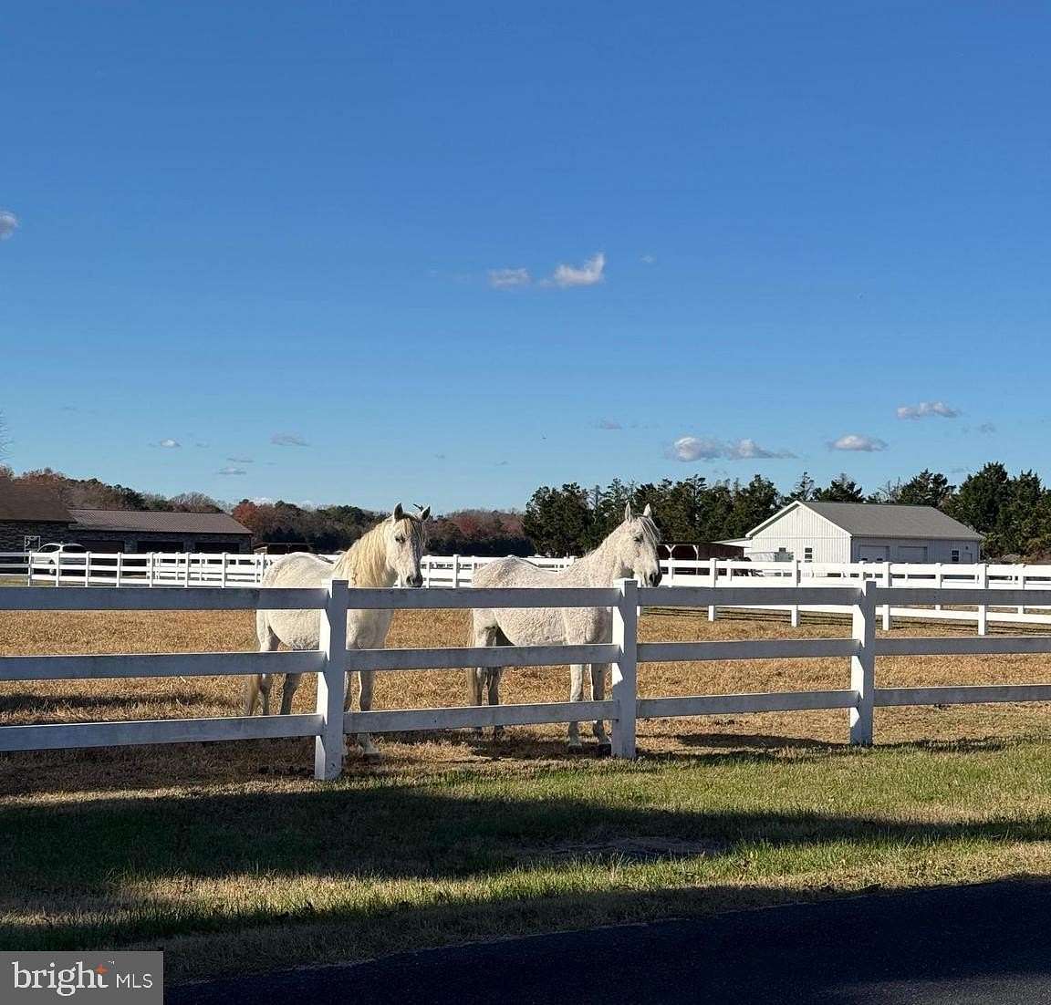 9.7 Acres of Land with Home for Sale in Seaford, Delaware