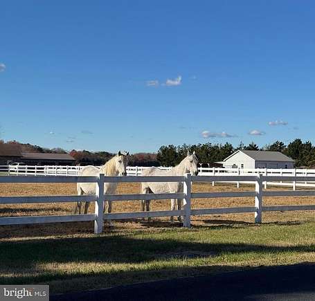 9.7 Acres of Land with Home for Sale in Seaford, Delaware