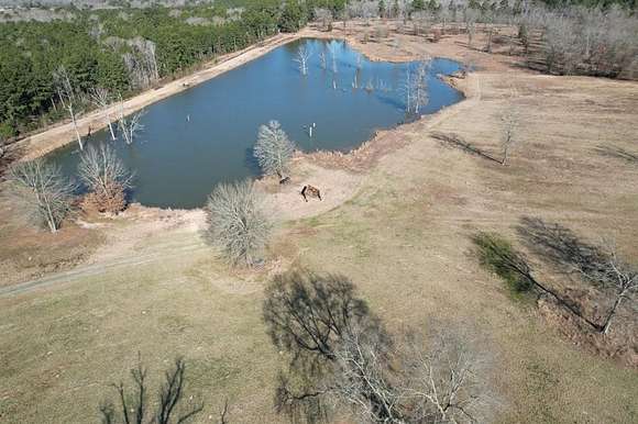 220 Acres of Land for Sale in Timpson, Texas