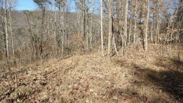 5 Acres of Land for Sale in Jamestown, Tennessee