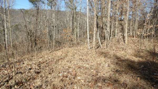 5 Acres of Land for Sale in Jamestown, Tennessee