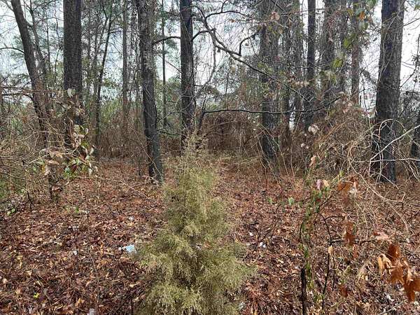 0.1 Acres of Land for Sale in Jefferson, Texas