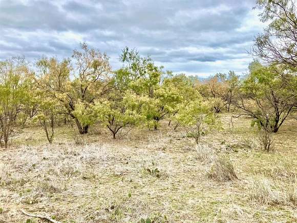 100 Acres of Land for Sale in Moran, Texas