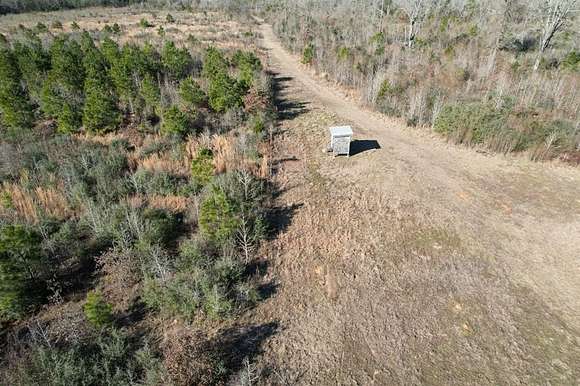 49 Acres of Recreational Land for Sale in Timpson, Texas