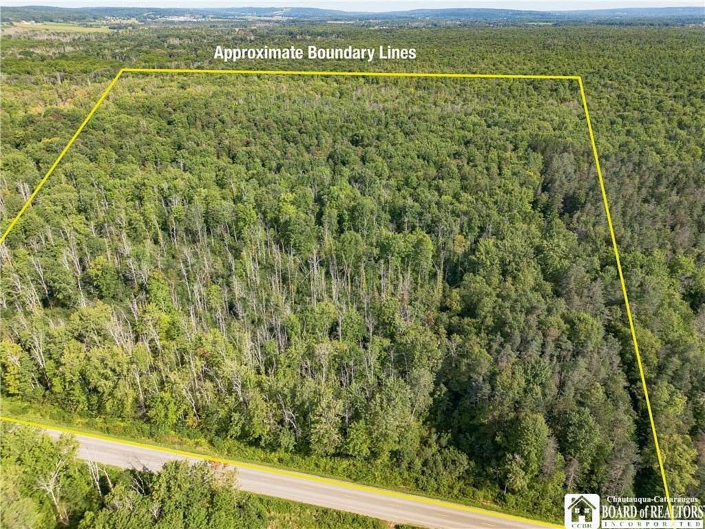 50.4 Acres of Land for Sale in Conewango Valley, New York