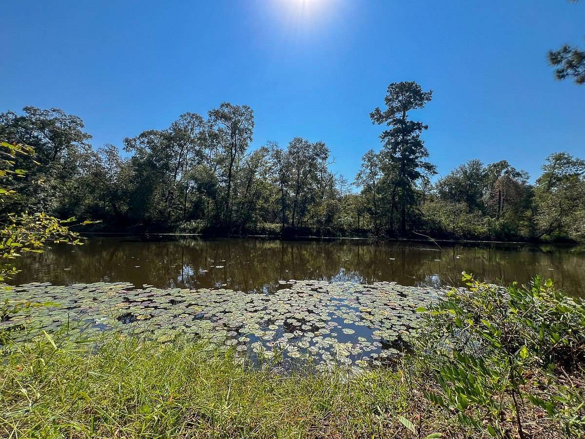 1,726 Acres of Recreational Land for Sale in Grapeland, Texas
