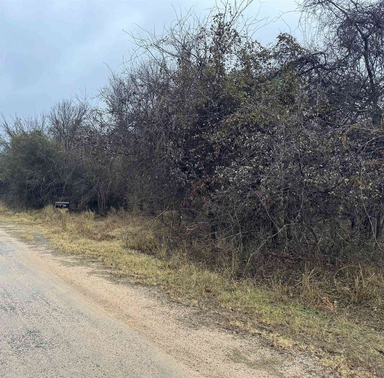 0.35 Acres of Residential Land for Sale in Granite Shoals, Texas
