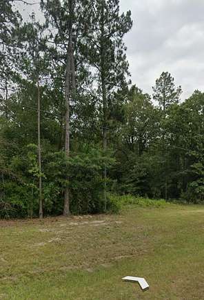 Residential Land for Sale in Tennille, Georgia