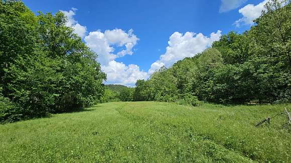 225 Acres of Land with Home for Sale in Vanzant, Missouri