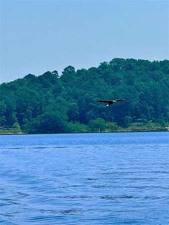 14.5 Acres of Mixed-Use Land for Sale in Hochatown, Oklahoma