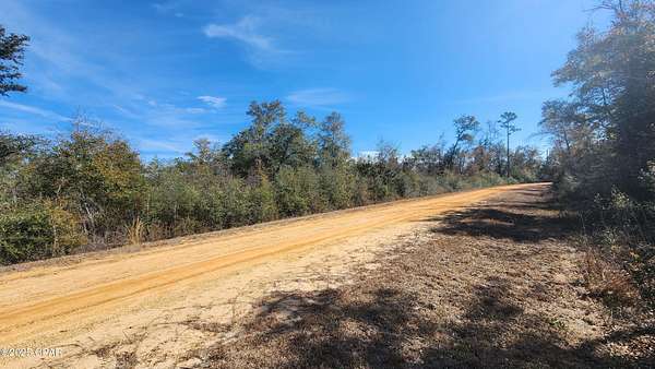 1.1 Acres of Land for Sale in Alford, Florida