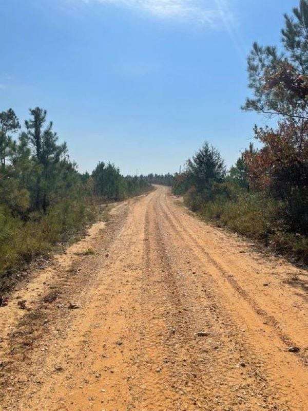 229 Acres of Recreational Land for Sale in Vernon, Alabama