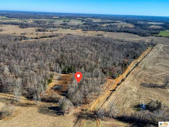 10 Acres of Residential Land for Sale in Adolphus, Kentucky