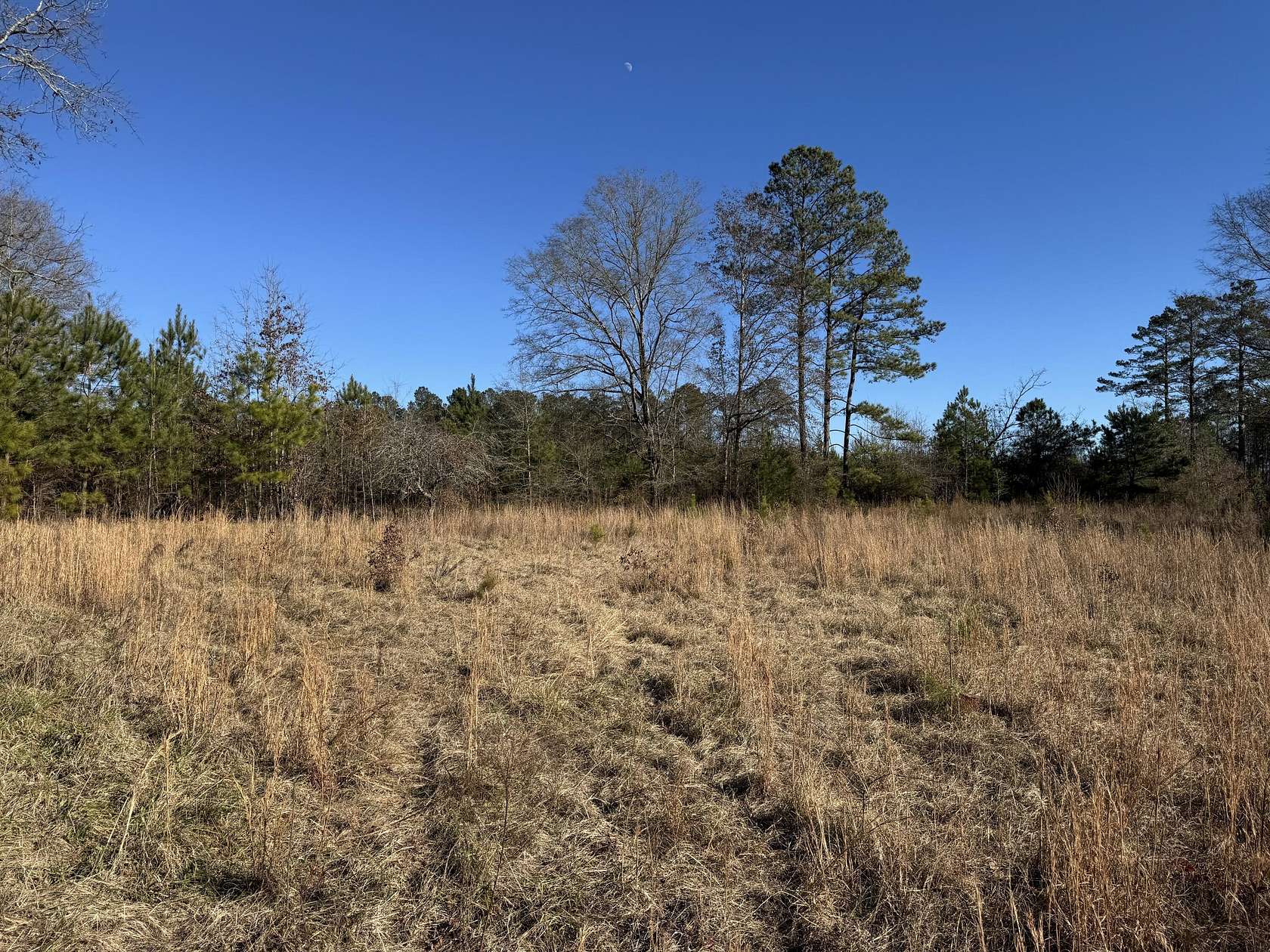 4.1 Acres of Land for Sale in Chappells, South Carolina