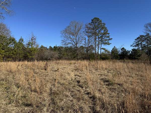 4.1 Acres of Land for Sale in Chappells, South Carolina