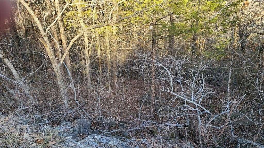 0.33 Acres of Residential Land for Sale in Holiday Island, Arkansas