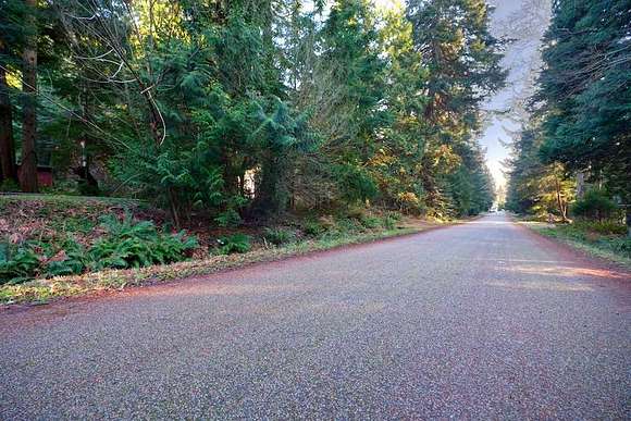 0.165 Acres of Residential Land for Sale in Point Roberts, Washington