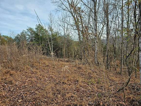 13.69 Acres of Land for Sale in Washburn, Tennessee