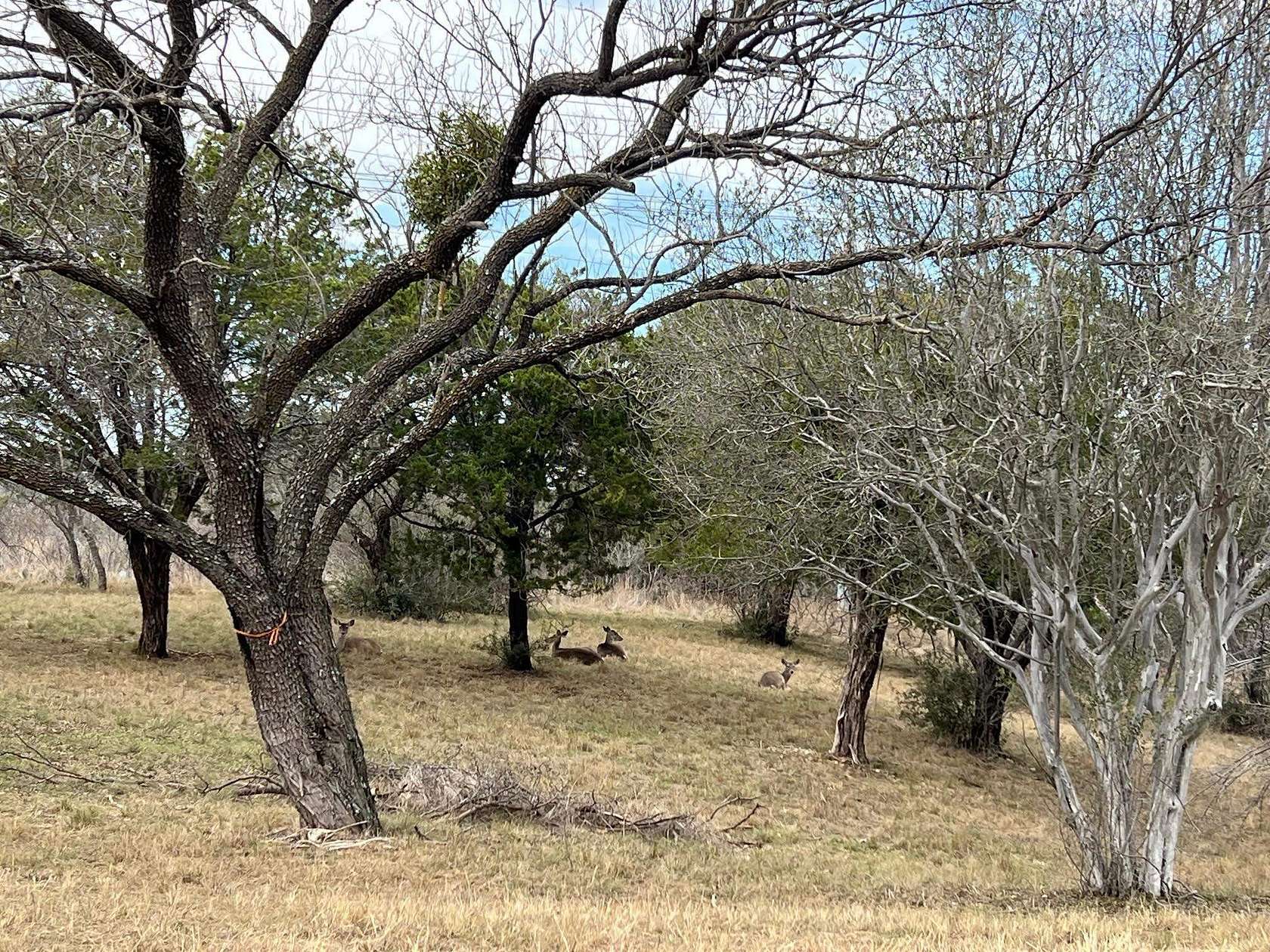 0.32 Acres of Residential Land for Sale in Horseshoe Bay, Texas