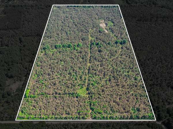 80 Acres of Recreational Land for Sale in Hessel, Michigan
