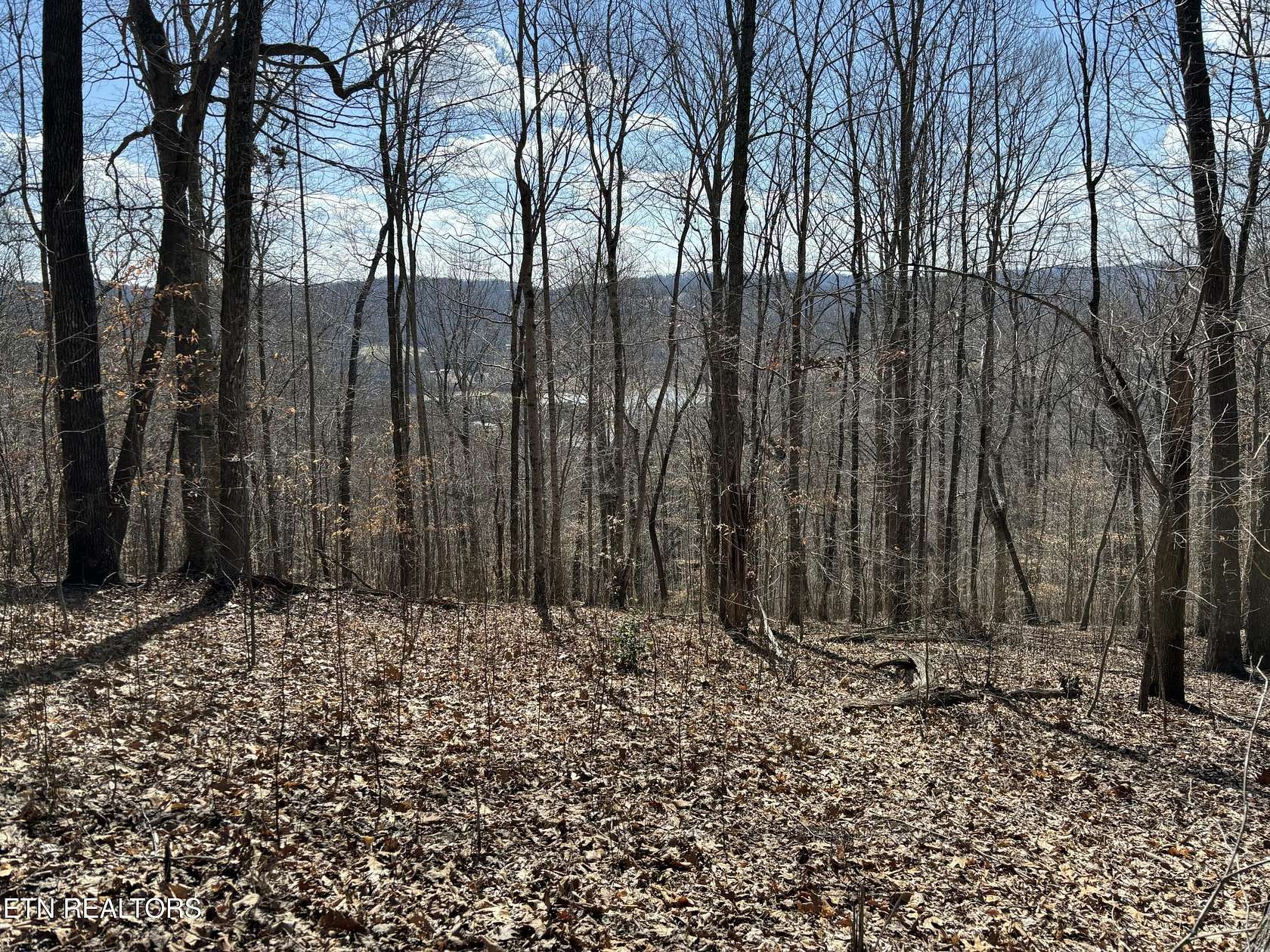 11.2 Acres of Land for Sale in Sharps Chapel, Tennessee