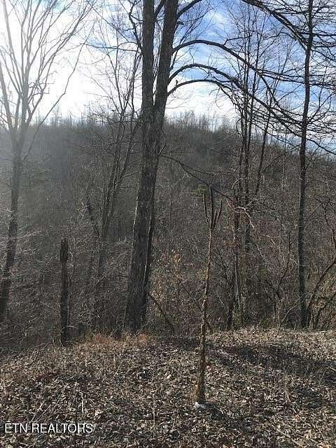 93.5 Acres of Land for Sale in Sunbright, Tennessee