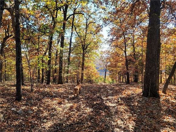 6.92 Acres of Residential Land for Sale in Yellville, Arkansas