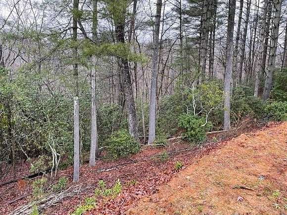 0.5 Acres of Residential Land for Sale in Marblehill, Georgia