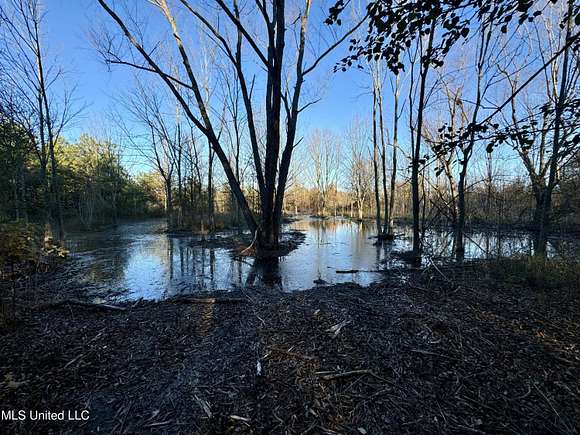 21.6 Acres of Recreational Land for Sale in Sledge, Mississippi