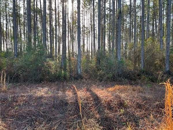 0.69 Acres of Residential Land for Sale in Wewahitchka, Florida