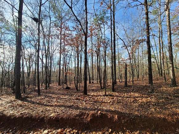 0.43 Acres of Residential Land for Sale in Waverly Hall, Georgia