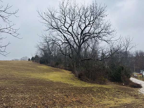 1.2 Acres of Residential Land for Sale in Clever, Missouri