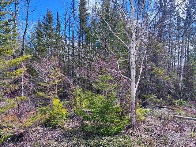 0.37 Acres of Residential Land for Sale in Presque Isle, Michigan