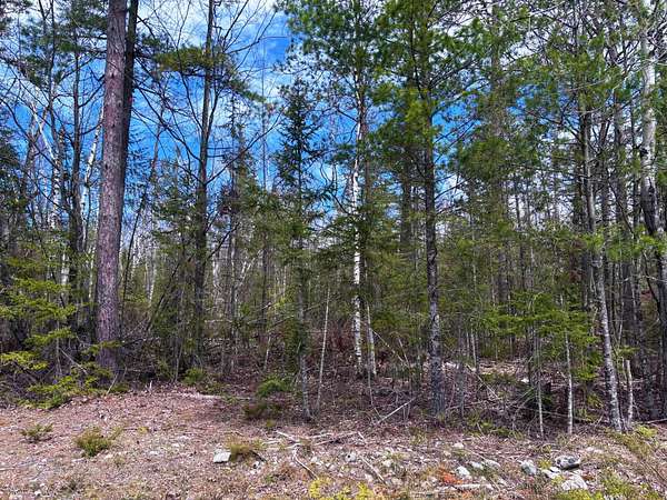 0.35 Acres of Residential Land for Sale in Presque Isle, Michigan