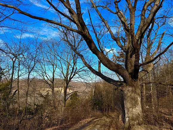 40 Acres of Recreational Land & Farm for Sale in West Union, Iowa