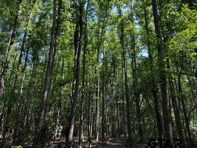 18.4 Acres of Land for Sale in Van, Texas