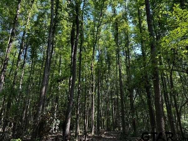18.4 Acres of Land for Sale in Van, Texas