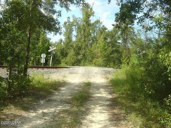 16.3 Acres of Recreational Land for Sale in Marianna, Florida