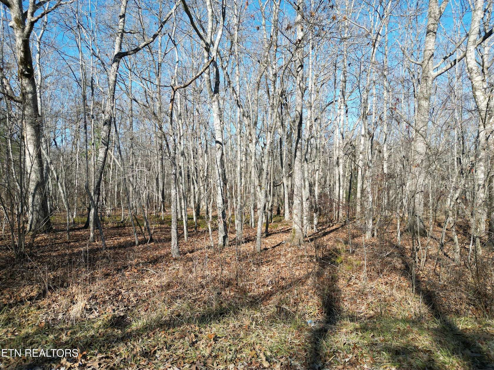 0.26 Acres of Residential Land for Sale in Crossville, Tennessee