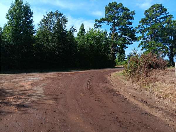 40 Acres of Recreational & Residential Land for Sale in Carthage, Texas